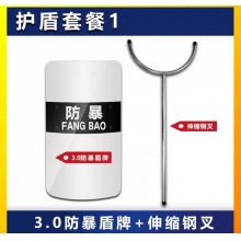 盾牌